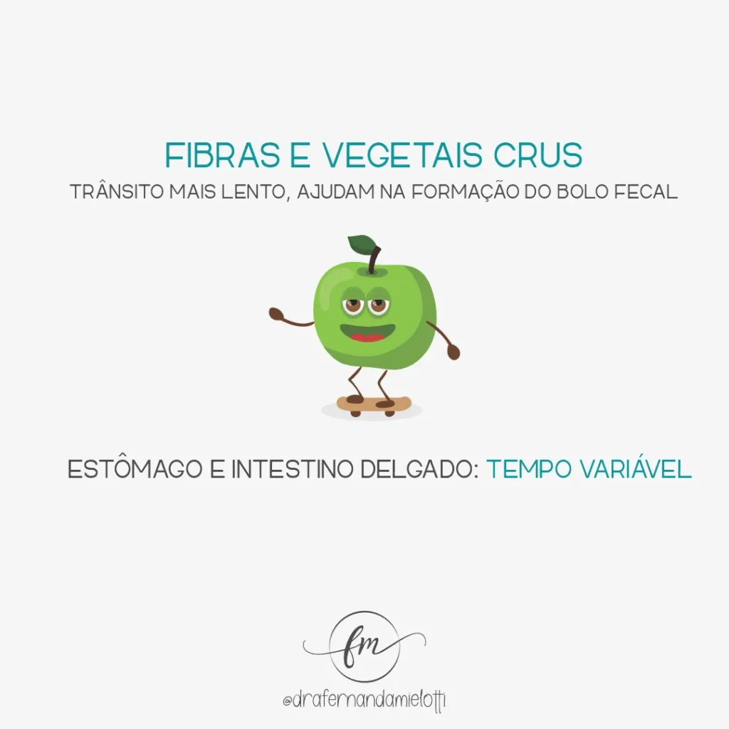 Quanto tempo cada alimento leva pra ser digerido?